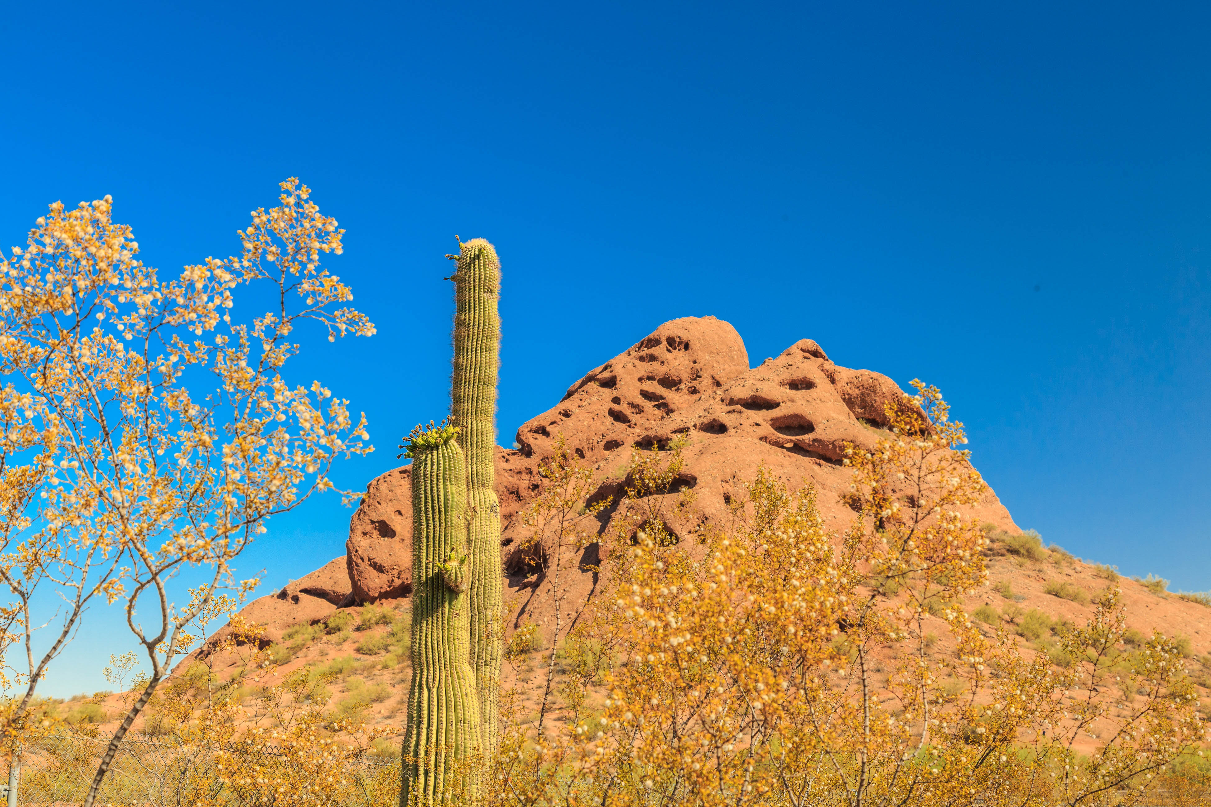 Scottsdale Home 1023545