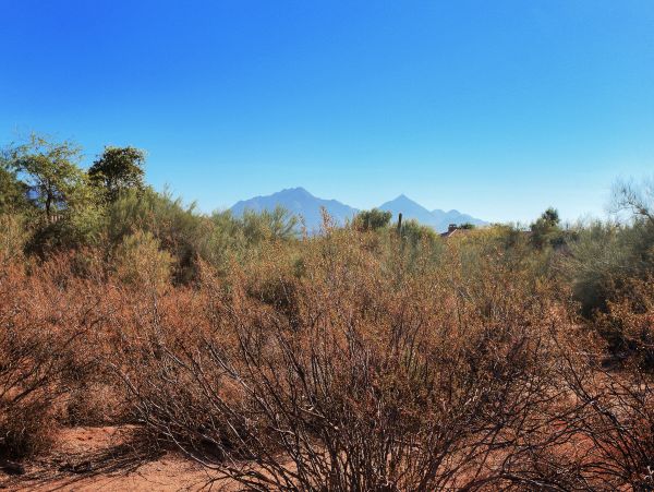 Scottsdale Home 1023548