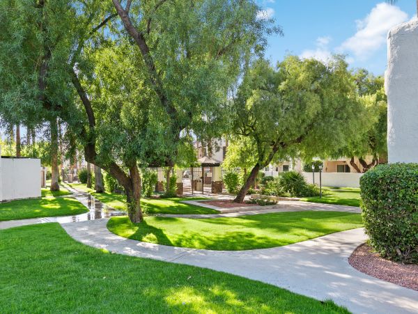 Scottsdale Home 1023557