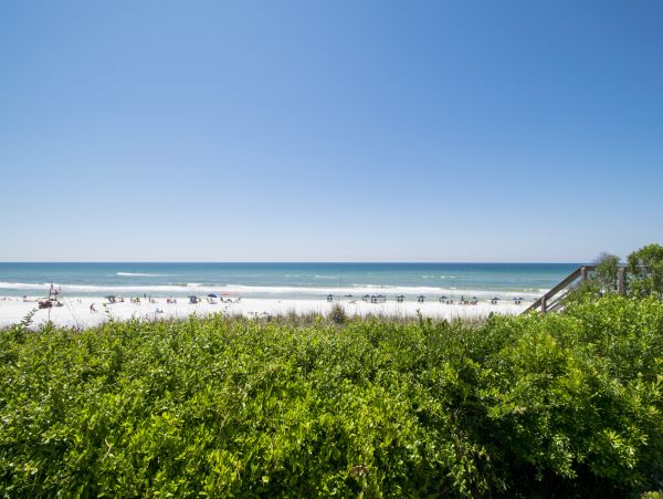 Beaches Of South Walton Condo 1023588