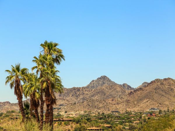 Scottsdale Home 1023593