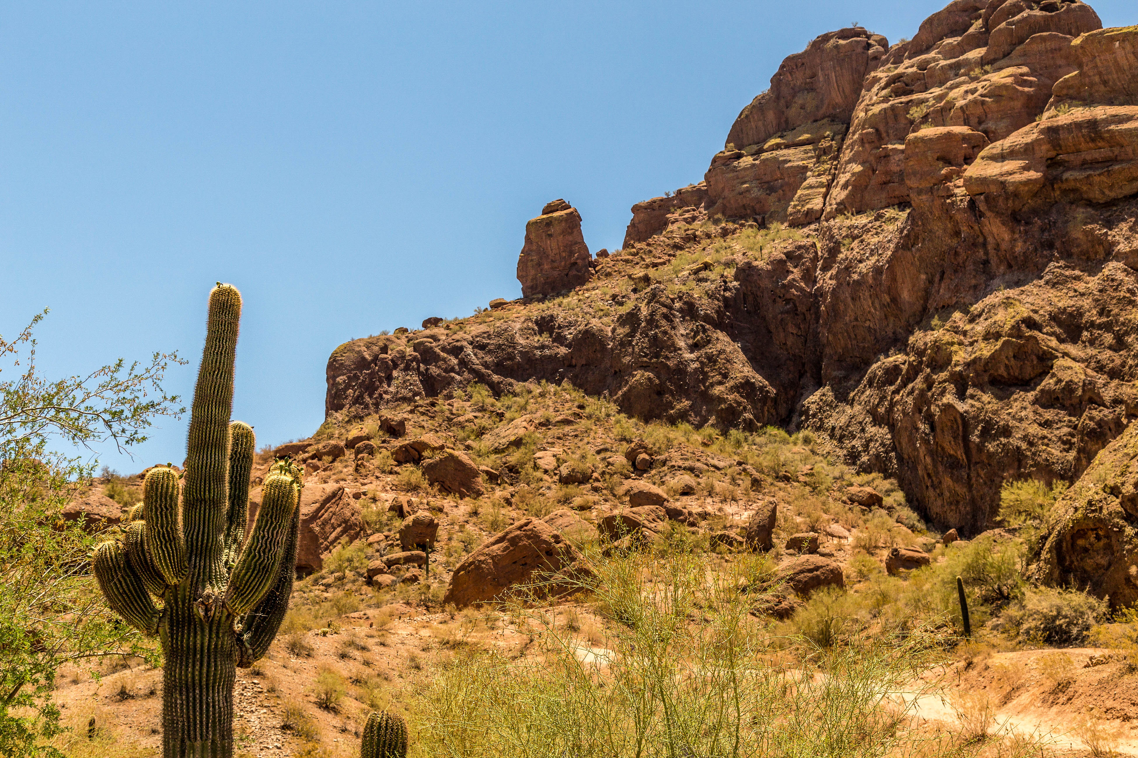 Scottsdale Home 1023593