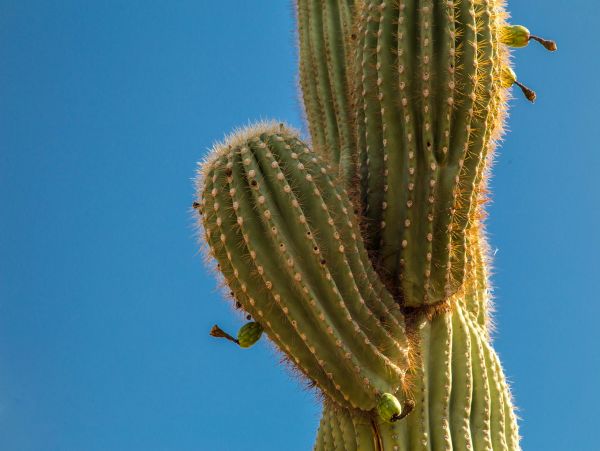 Scottsdale Home 1023593