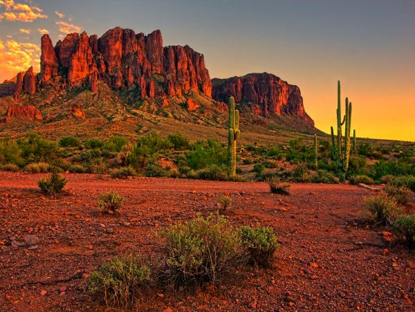 Scottsdale Home 1023615