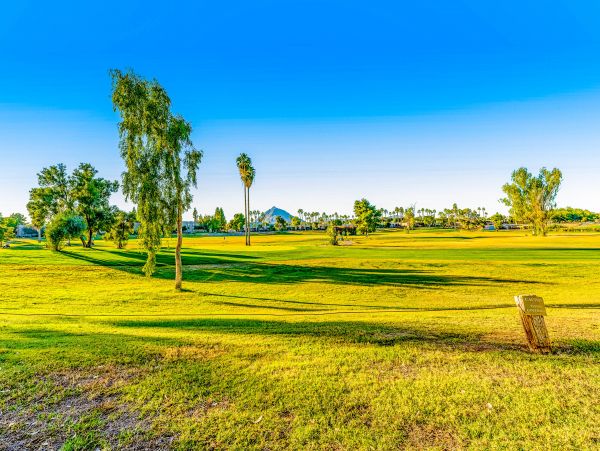 Scottsdale Home 1023617