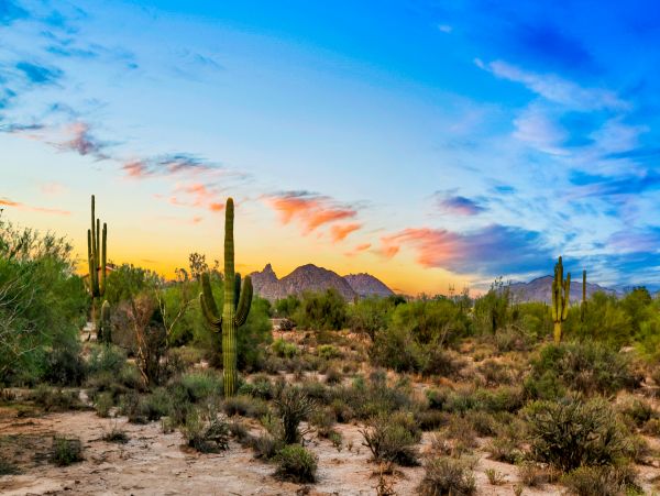 Scottsdale Home 1023625
