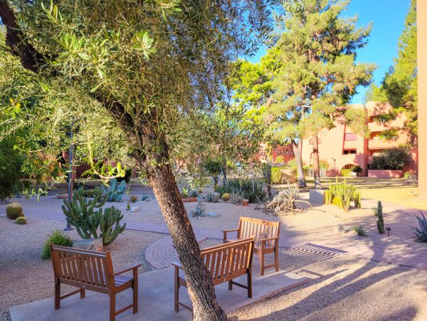 Scottsdale Home 1023657
