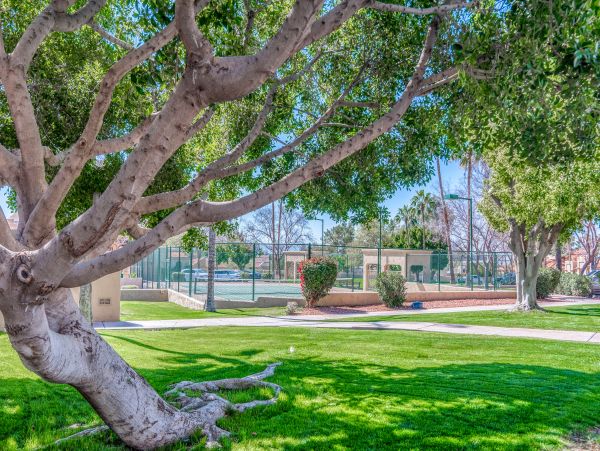 Scottsdale Home 1023665