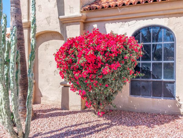 Scottsdale Home 1023665