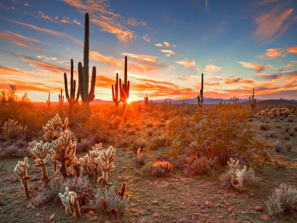 Scottsdale Home 1023672