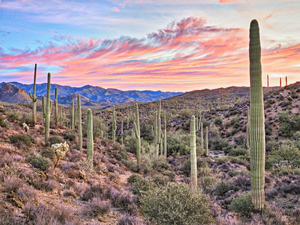 Scottsdale Home 1023672