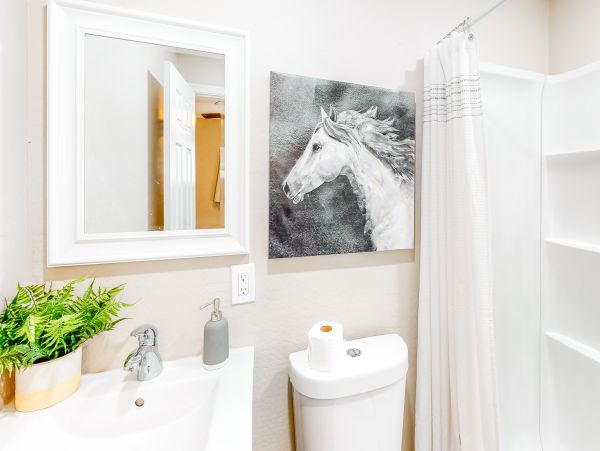 Scottsdale Home 1023678