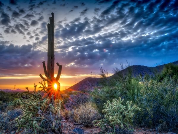 Scottsdale Home 1023680