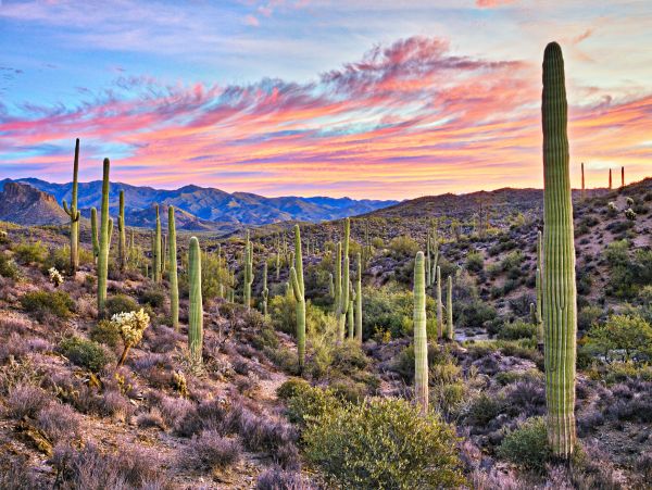 Scottsdale Home 1023689