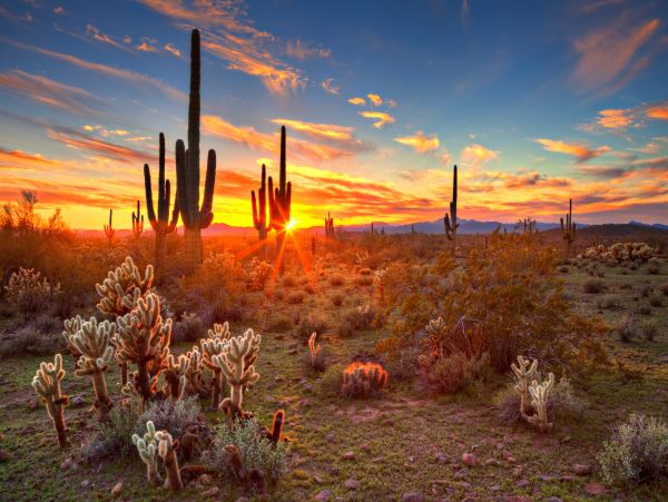 Scottsdale Home 1023690