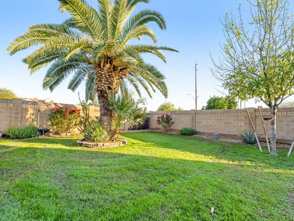 Scottsdale Home 1023711