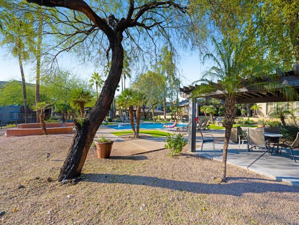 Scottsdale Home 1023716