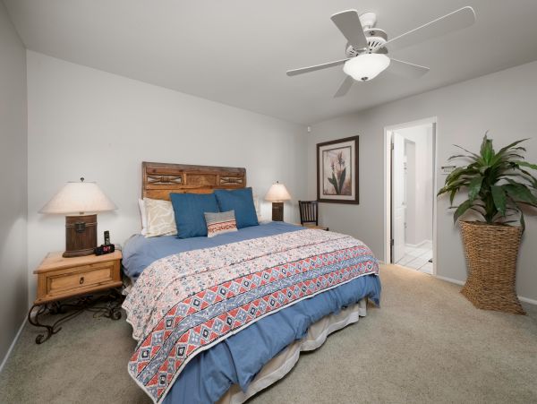 Scottsdale Home 1023723