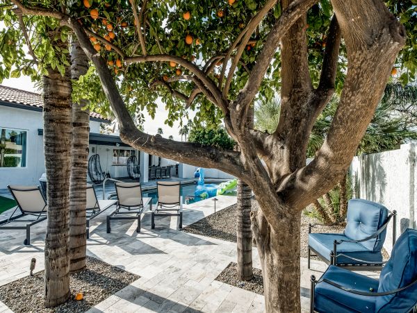Scottsdale Home 1023755