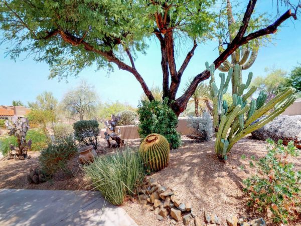 Scottsdale Home 1023760