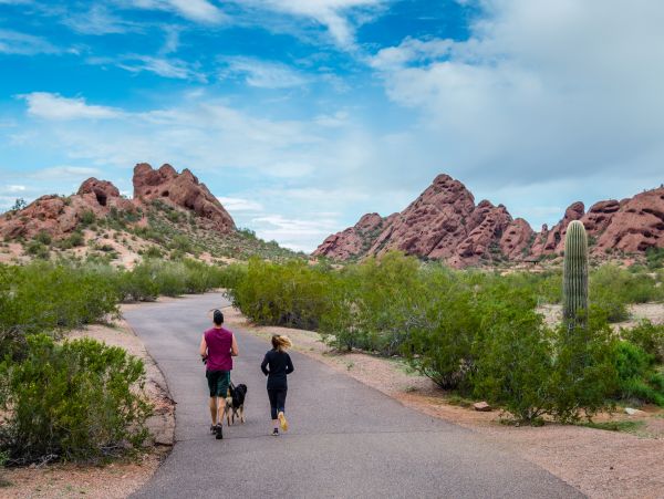 Scottsdale Home 1023761