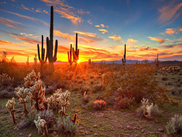 Scottsdale Home 1023761