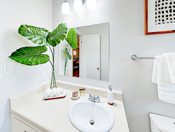 Scottsdale Home 1023780