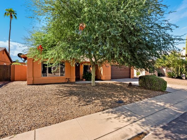 Scottsdale Home 1023782