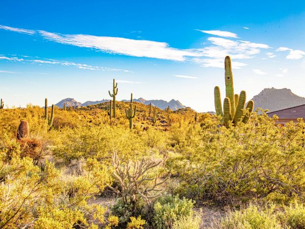 Scottsdale Home 1023797