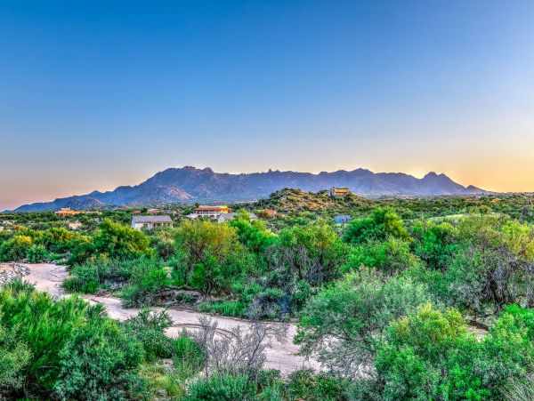 Scottsdale Home 1023798