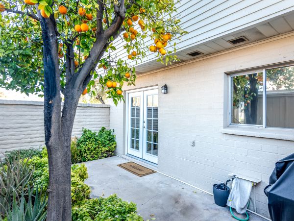 Scottsdale Home 1023799