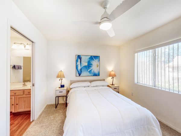 Scottsdale Home 1023800