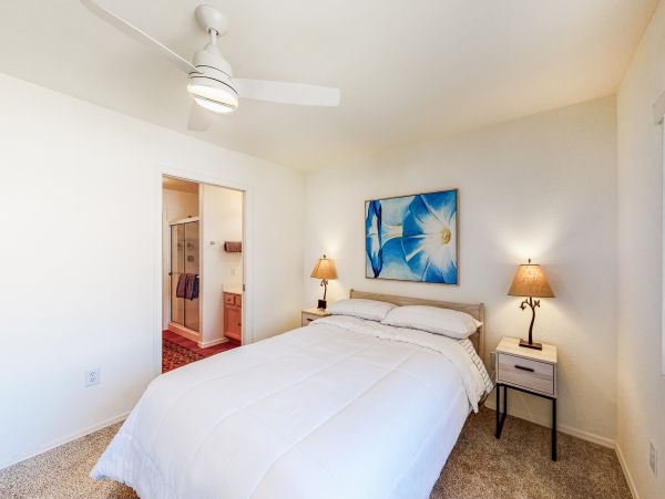 Scottsdale Home 1023800