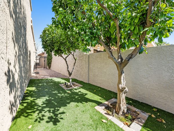 Scottsdale Home 1023807