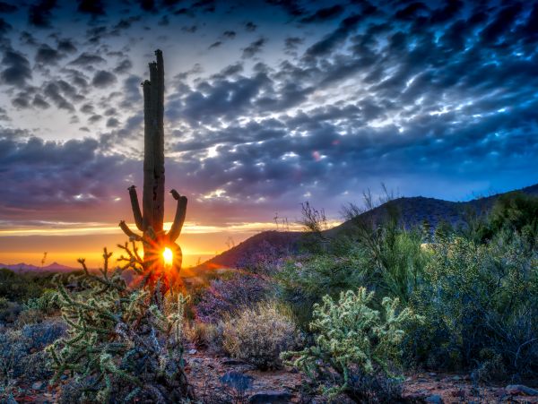 Scottsdale Home 1023810