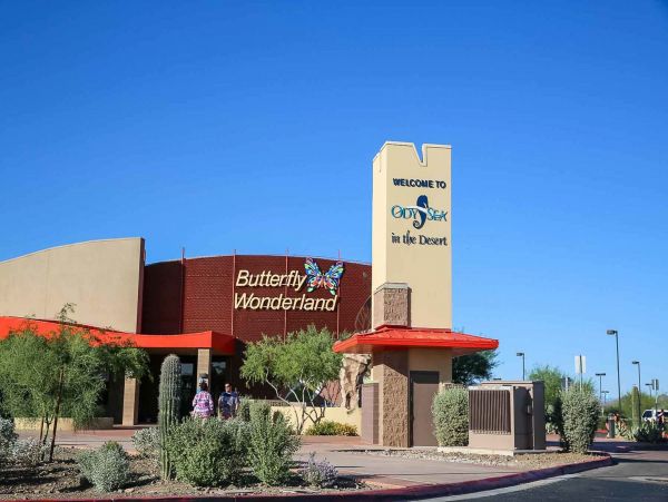 Scottsdale Home 1023825