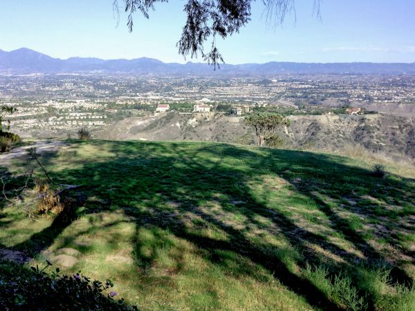 Laguna Beach Home 1023833
