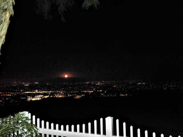 Laguna Beach Home 1023833