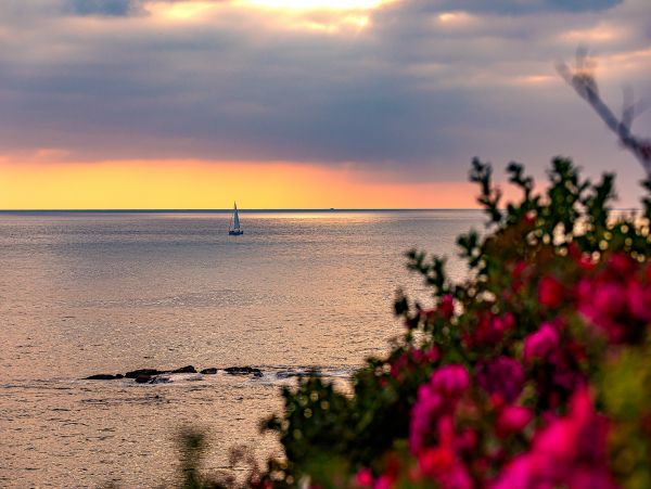 Laguna Beach Home 1023843