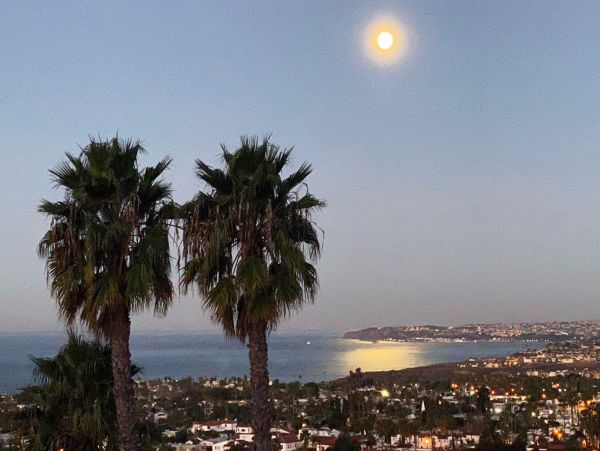 Laguna Beach Home 1023881