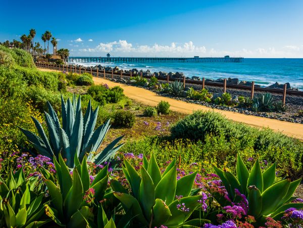 Laguna Beach Home 1023882