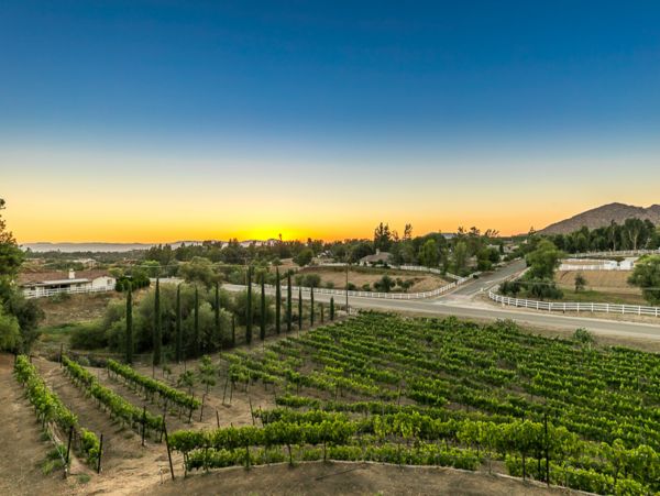 Laguna Beach Home 1023904