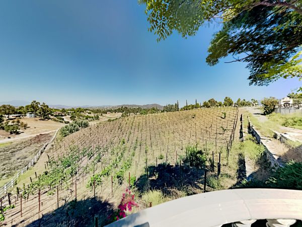 Laguna Beach Home 1023917