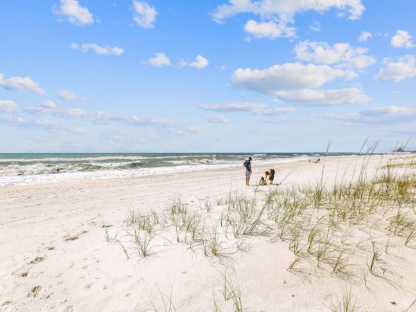Pensacola Beach Condo 1023924