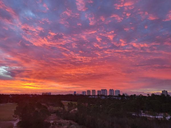 Pensacola Beach Condo 1023947