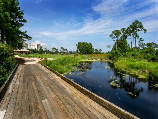 Pensacola Beach Condo 1023947