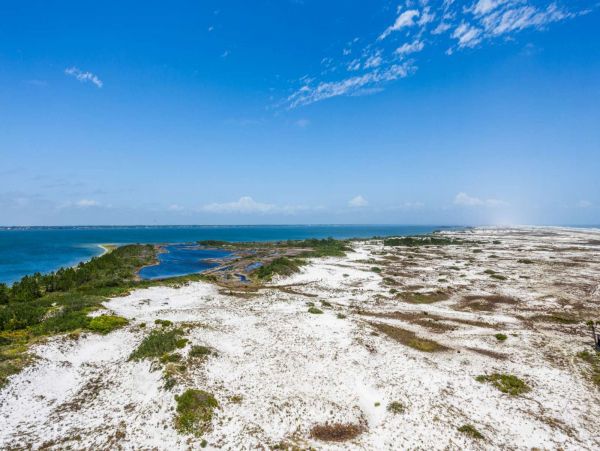 Pensacola Beach Condo 1023964