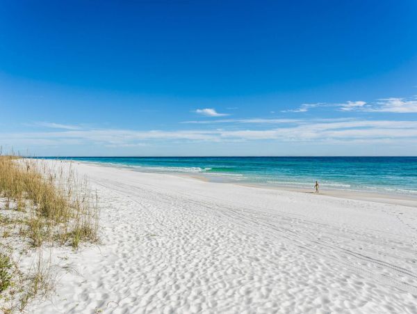 Pensacola Beach Condo 1023969