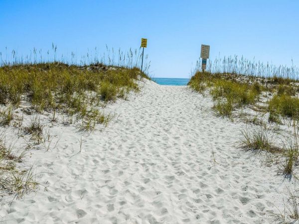Pensacola Beach Condo 1023977