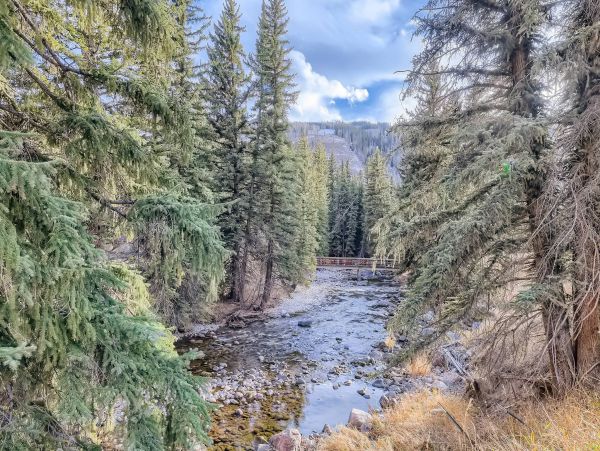 Lionshead ski in ski out condo on the creek